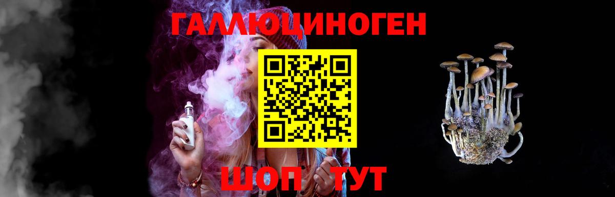 Псилоцибиновые грибы Psilocybe Искитим